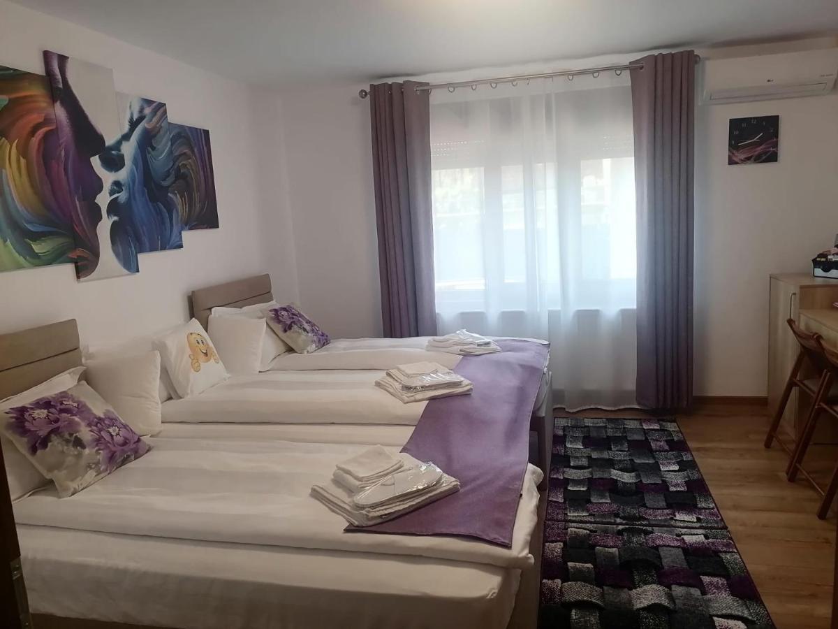 Happy House Apartment Hunedoara Exterior photo